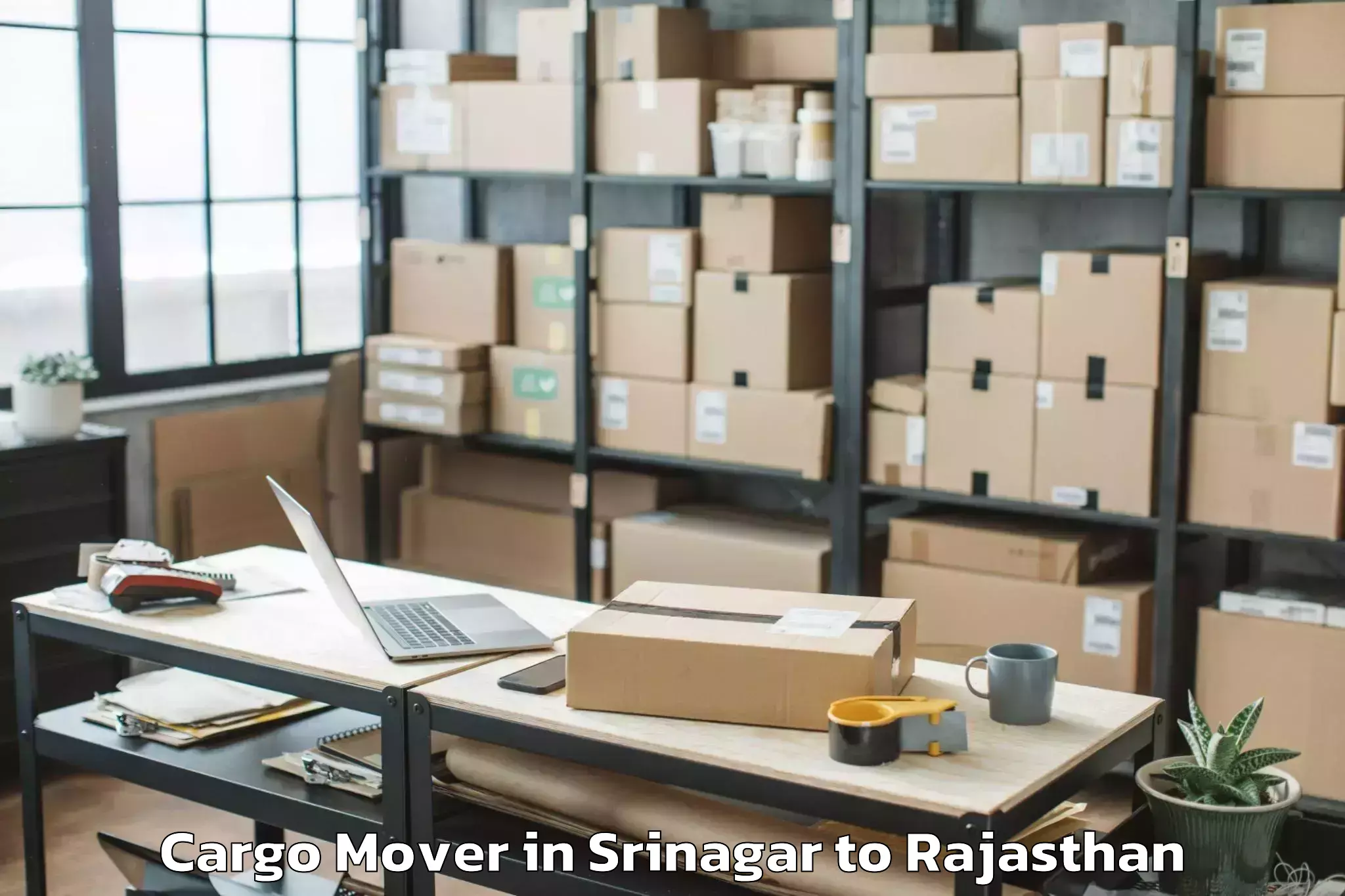 Book Srinagar to Lalsot Cargo Mover Online